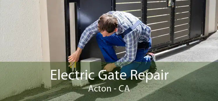 Electric Gate Repair Acton - CA