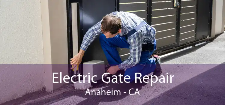 Electric Gate Repair Anaheim - CA