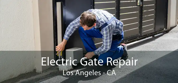 Electric Gate Repair Los Angeles - CA