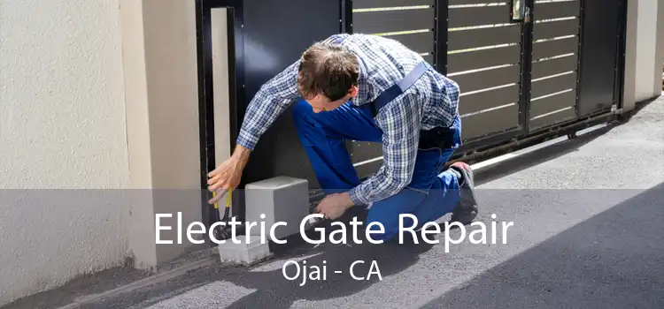 Electric Gate Repair Ojai - CA