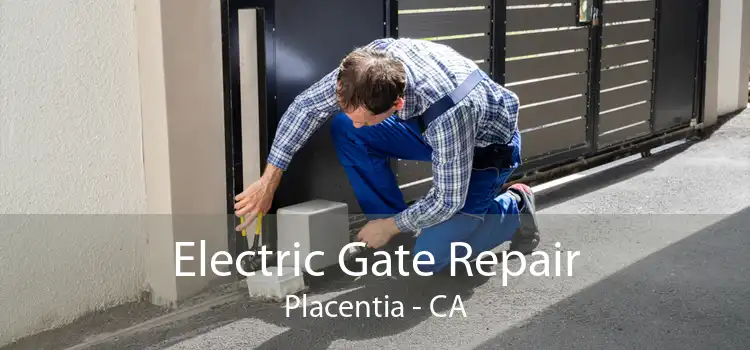 Electric Gate Repair Placentia - CA