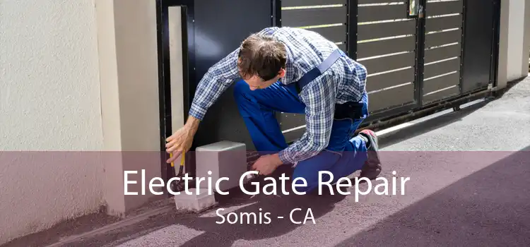 Electric Gate Repair Somis - CA