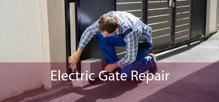 Electric Gate Repair 