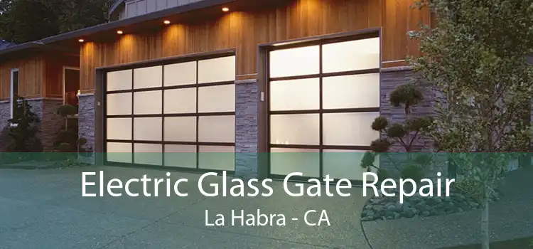 Electric Glass Gate Repair La Habra - CA