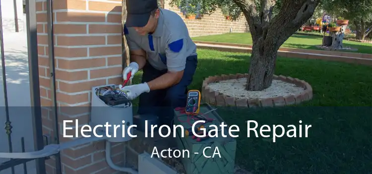 Electric Iron Gate Repair Acton - CA