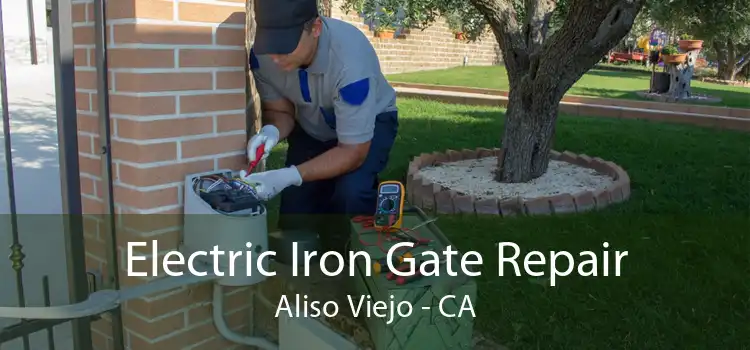 Electric Iron Gate Repair Aliso Viejo - CA