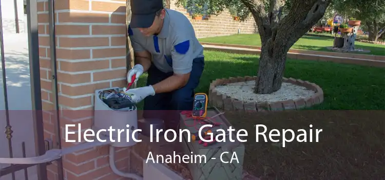 Electric Iron Gate Repair Anaheim - CA