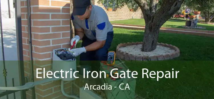 Electric Iron Gate Repair Arcadia - CA