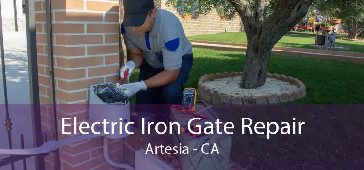 Electric Iron Gate Repair Artesia - CA