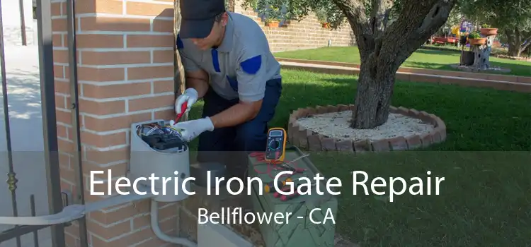 Electric Iron Gate Repair Bellflower - CA