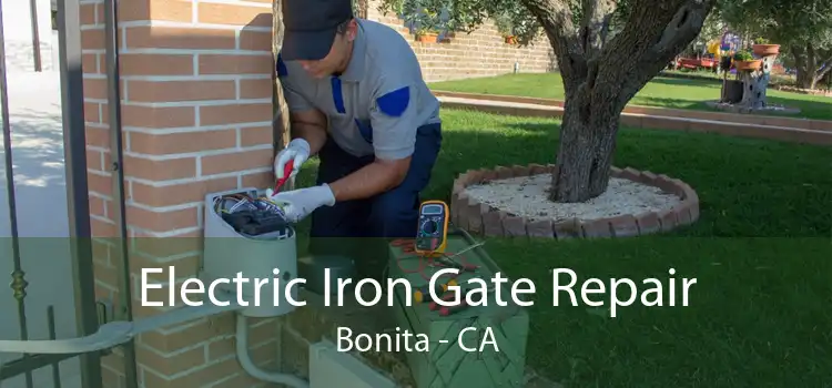 Electric Iron Gate Repair Bonita - CA