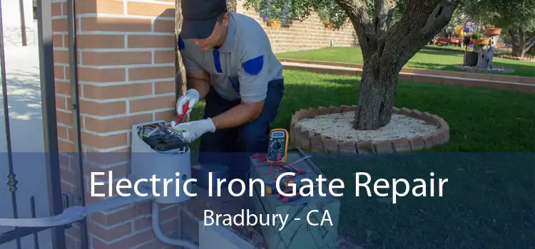 Electric Iron Gate Repair Bradbury - CA