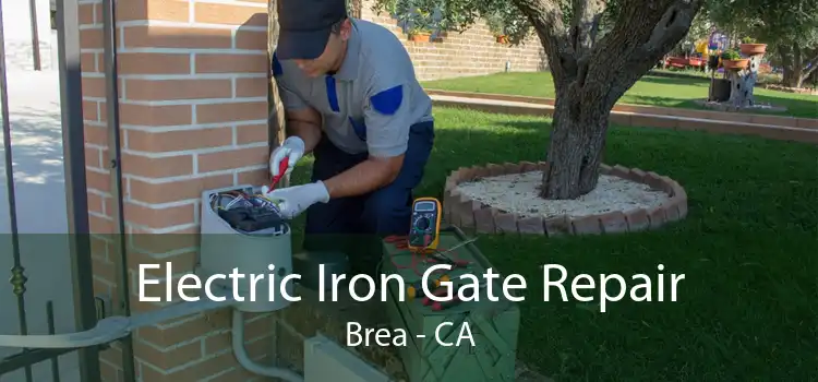 Electric Iron Gate Repair Brea - CA