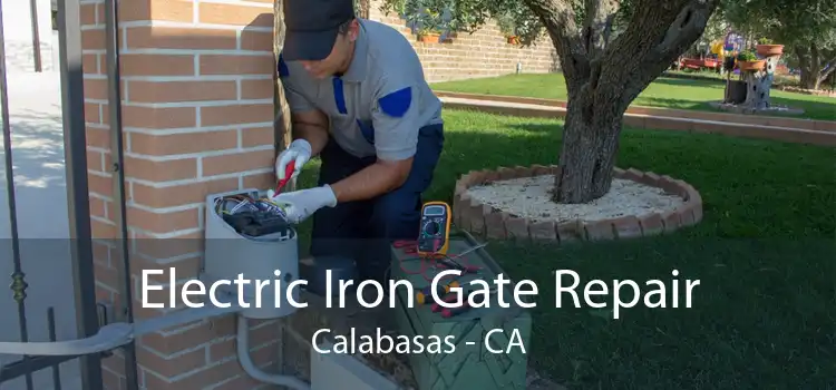 Electric Iron Gate Repair Calabasas - CA