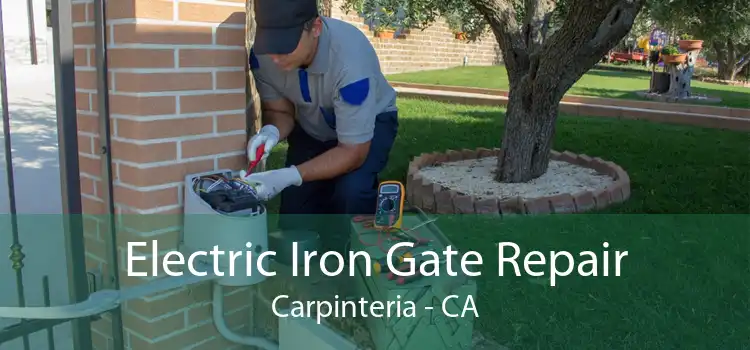 Electric Iron Gate Repair Carpinteria - CA