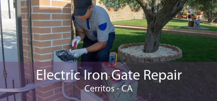 Electric Iron Gate Repair Cerritos - CA