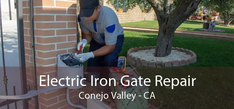 Electric Iron Gate Repair Conejo Valley - CA