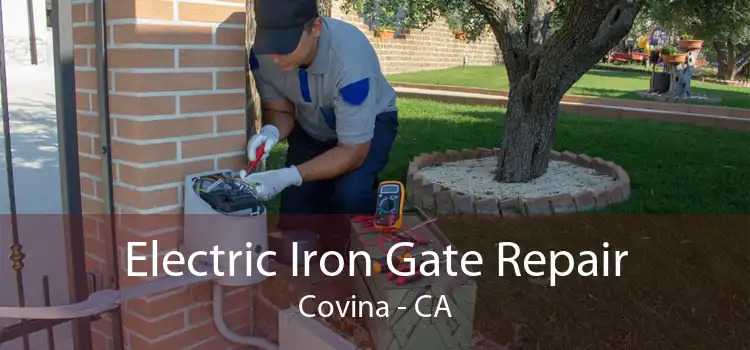 Electric Iron Gate Repair Covina - CA