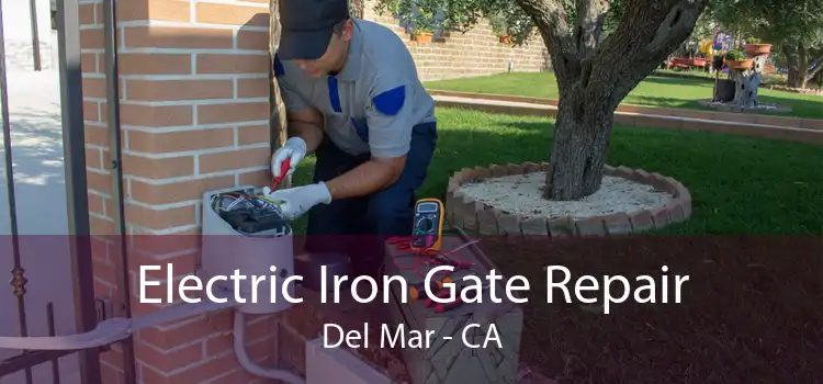 Electric Iron Gate Repair Del Mar - CA