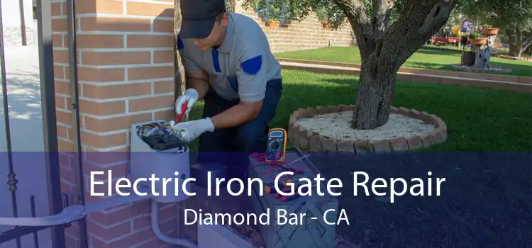 Electric Iron Gate Repair Diamond Bar - CA