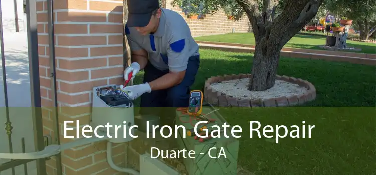 Electric Iron Gate Repair Duarte - CA