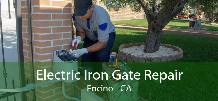 Electric Iron Gate Repair Encino - CA