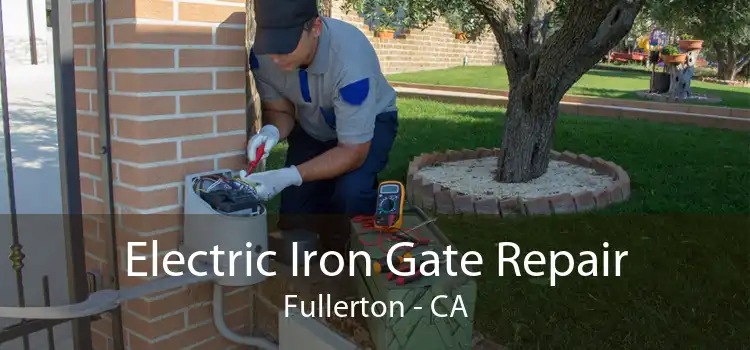 Electric Iron Gate Repair Fullerton - CA