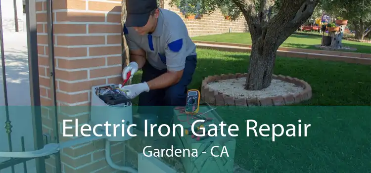 Electric Iron Gate Repair Gardena - CA