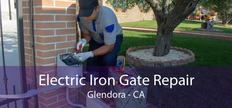 Electric Iron Gate Repair Glendora - CA