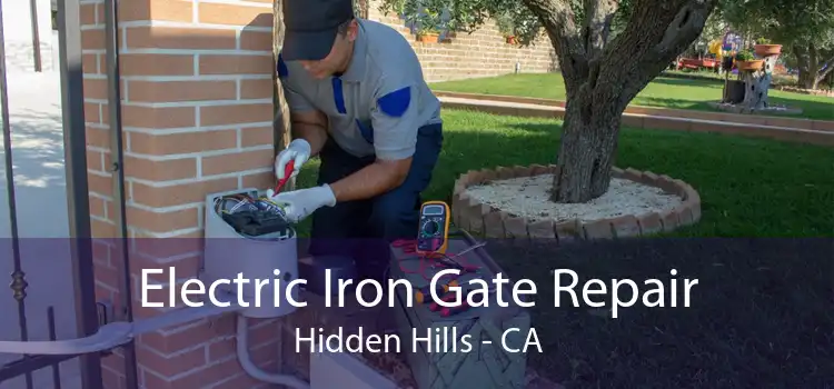 Electric Iron Gate Repair Hidden Hills - CA