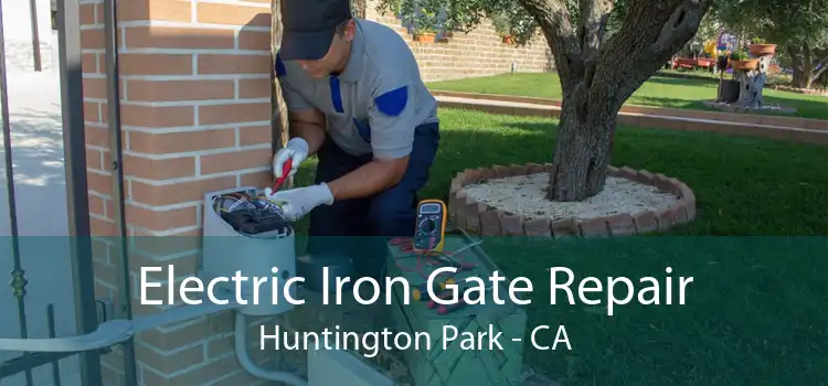 Electric Iron Gate Repair Huntington Park - CA