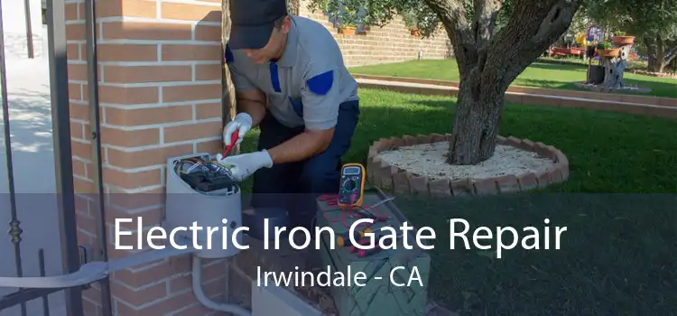 Electric Iron Gate Repair Irwindale - CA