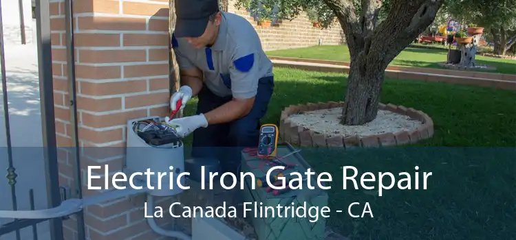 Electric Iron Gate Repair La Canada Flintridge - CA