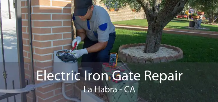 Electric Iron Gate Repair La Habra - CA