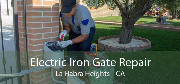 Electric Iron Gate Repair La Habra Heights - CA