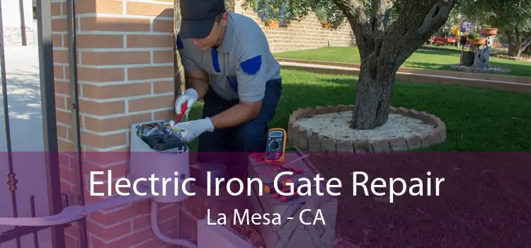 Electric Iron Gate Repair La Mesa - CA