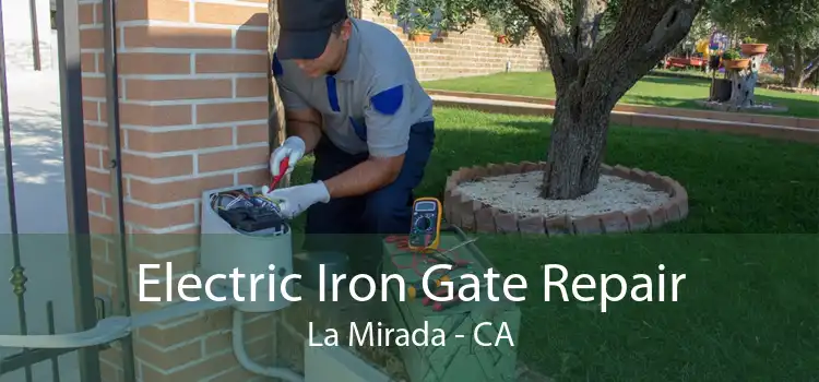 Electric Iron Gate Repair La Mirada - CA