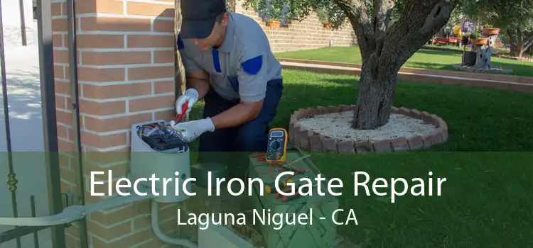 Electric Iron Gate Repair Laguna Niguel - CA