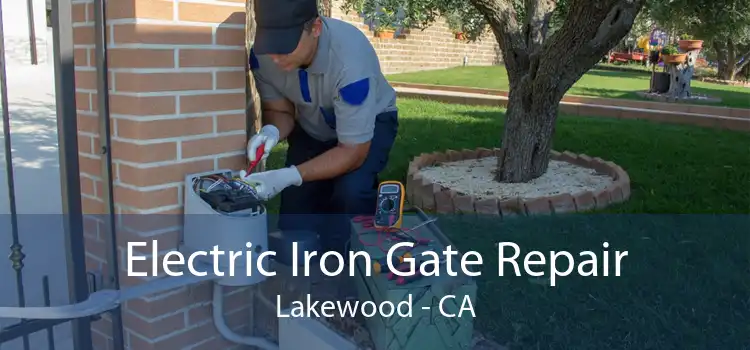 Electric Iron Gate Repair Lakewood - CA