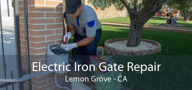 Electric Iron Gate Repair Lemon Grove - CA