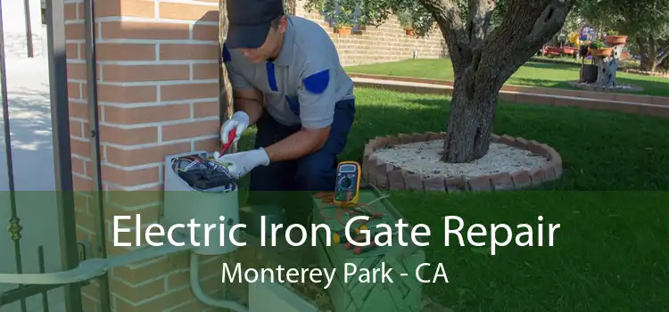 Electric Iron Gate Repair Monterey Park - CA