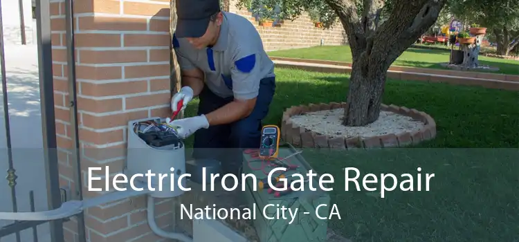 Electric Iron Gate Repair National City - CA