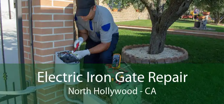 Electric Iron Gate Repair North Hollywood - CA