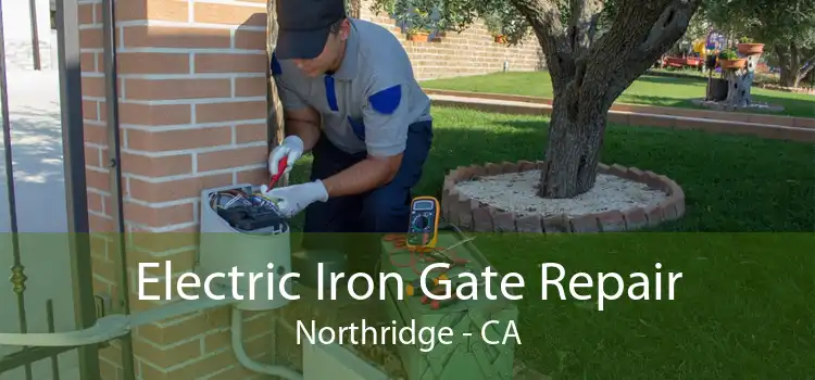 Electric Iron Gate Repair Northridge - CA