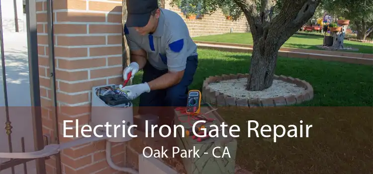 Electric Iron Gate Repair Oak Park - CA