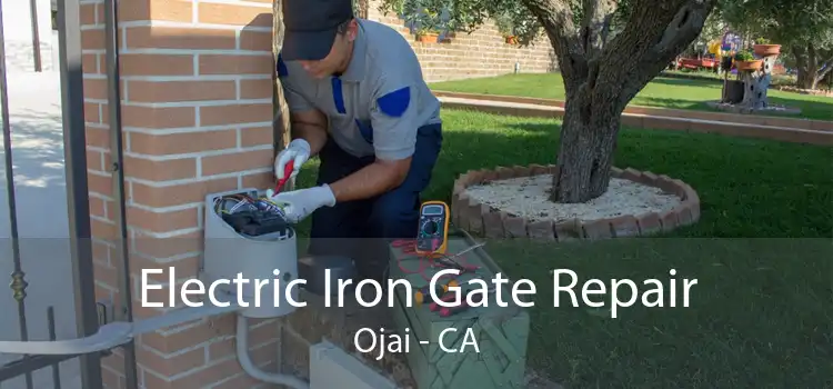 Electric Iron Gate Repair Ojai - CA