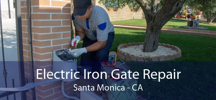 Electric Iron Gate Repair Santa Monica - CA