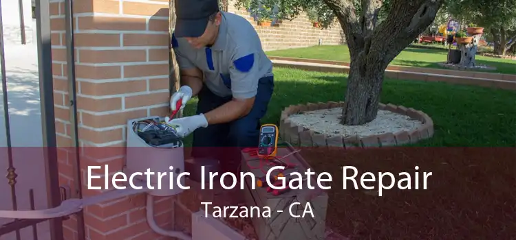 Electric Iron Gate Repair Tarzana - CA