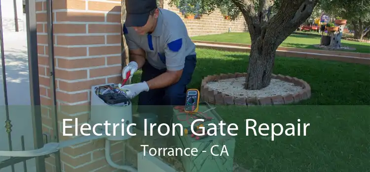 Electric Iron Gate Repair Torrance - CA