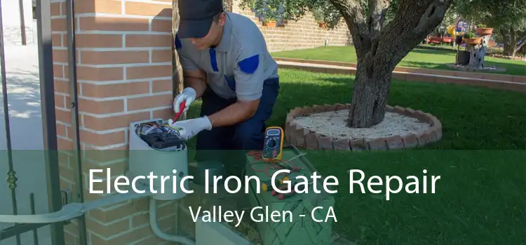 Electric Iron Gate Repair Valley Glen - CA